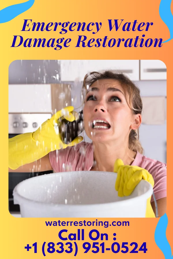 Emergency Water Damage Restoration in Loogootee, IN