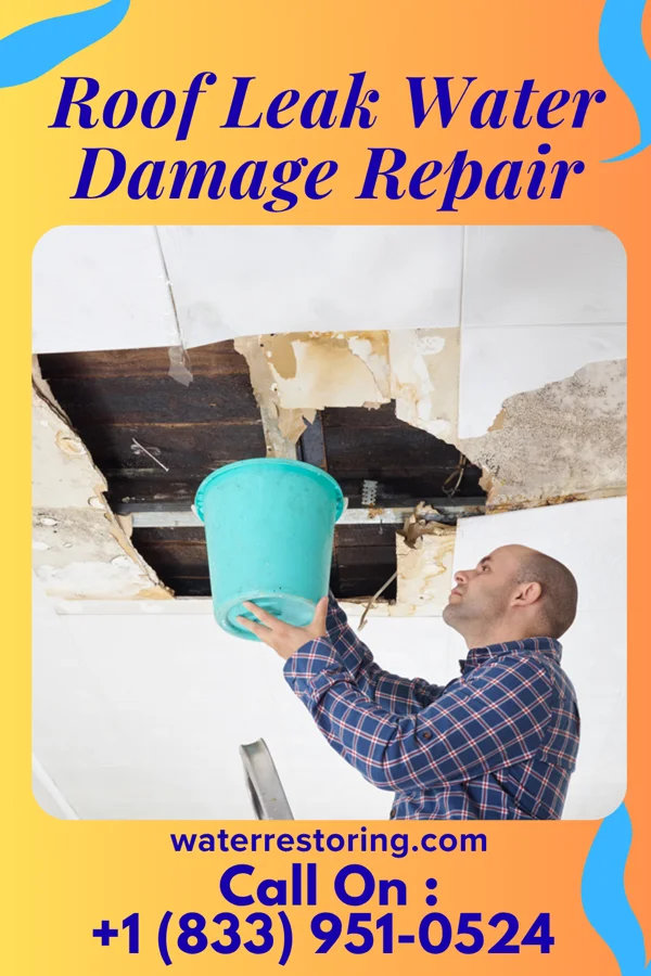 Roof Leak Water Damage Repair in Loogootee, IN