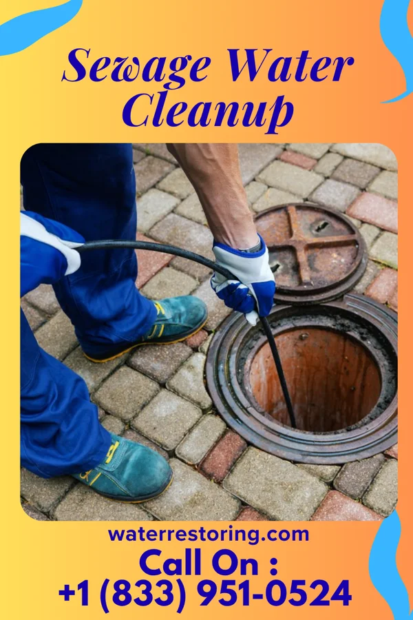 Sewage Water Cleanup in Loogootee, IN